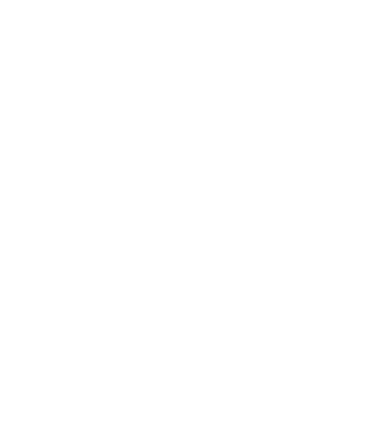 EminentWeb GmbH